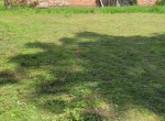 IMG-20250805-WA0000